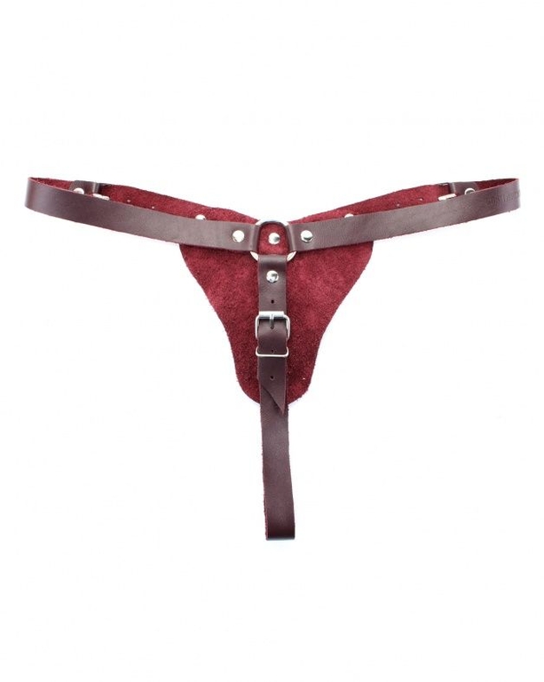 Бордовые трусики с кольцом для насадок Maroon Panties