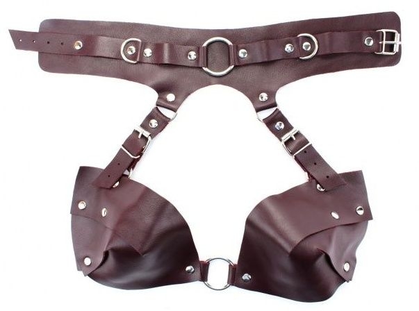 Бордовая сбруя из ошейника с лифом Maroon Harness