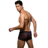 Мужские трусы-хипсы Doreanse Mesh Boxer